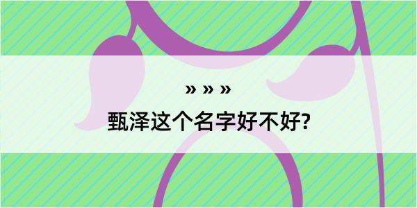 甄泽这个名字好不好?