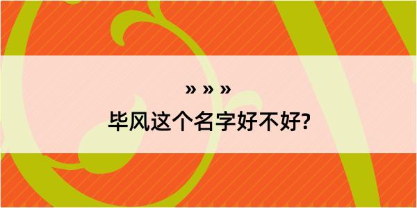 毕风这个名字好不好?