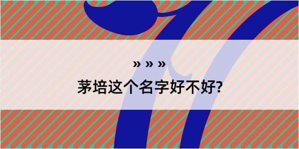 茅培这个名字好不好?