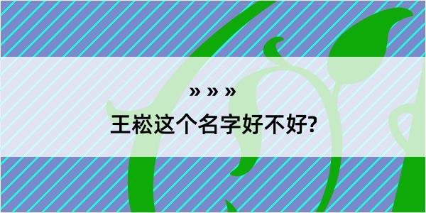 王崧这个名字好不好?