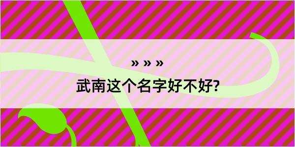 武南这个名字好不好?