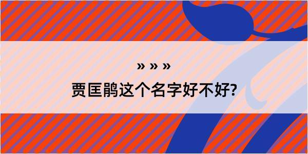 贾匡鹃这个名字好不好?