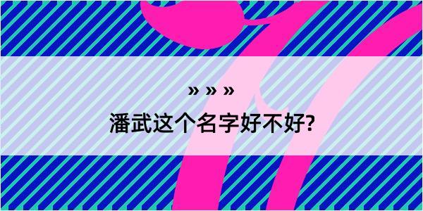 潘武这个名字好不好?