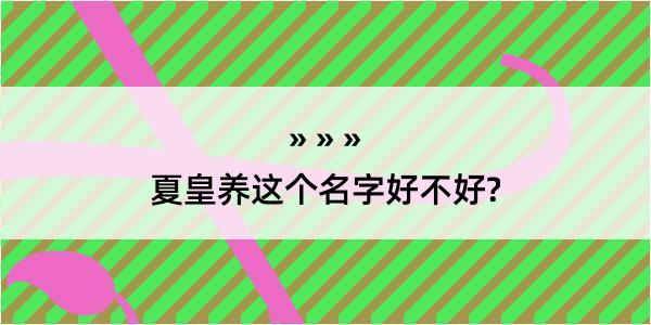 夏皇养这个名字好不好?