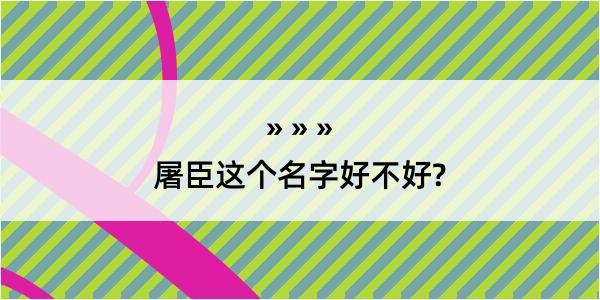 屠臣这个名字好不好?