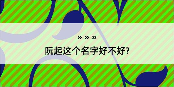 阮起这个名字好不好?