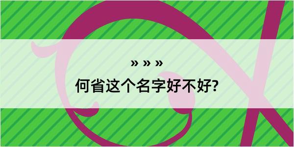 何省这个名字好不好?