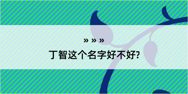 丁智这个名字好不好?