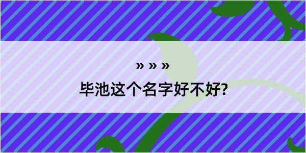 毕池这个名字好不好?