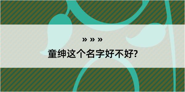 童绅这个名字好不好?