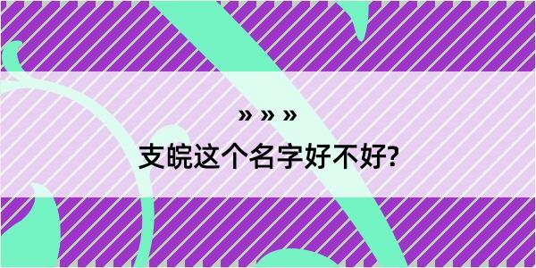 支皖这个名字好不好?