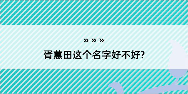 胥蕙田这个名字好不好?