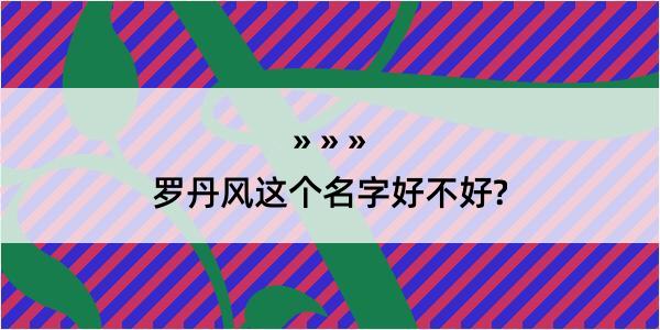 罗丹风这个名字好不好?