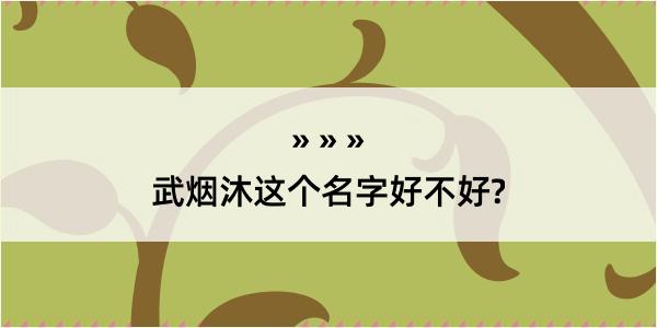 武烟沐这个名字好不好?