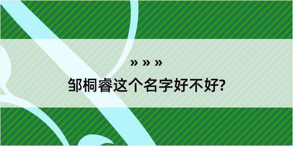 邹桐睿这个名字好不好?