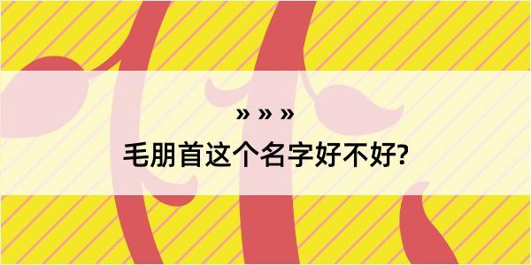 毛朋首这个名字好不好?