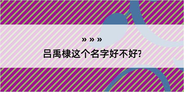 吕禹棣这个名字好不好?