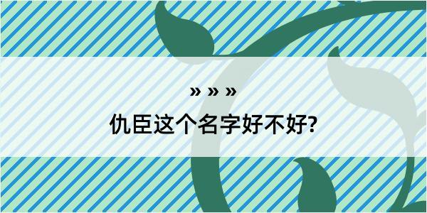 仇臣这个名字好不好?