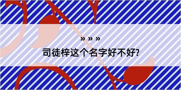 司徒梓这个名字好不好?