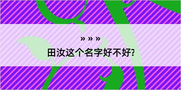 田汝这个名字好不好?