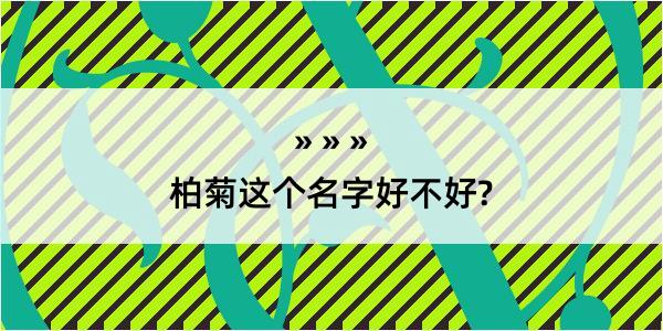 柏菊这个名字好不好?