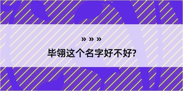 毕翎这个名字好不好?