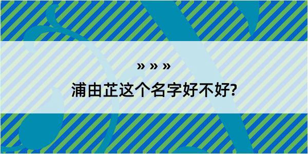 浦由芷这个名字好不好?