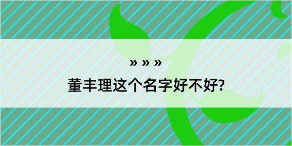 董丰理这个名字好不好?