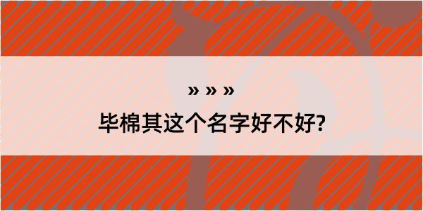 毕棉其这个名字好不好?