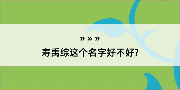 寿禹综这个名字好不好?