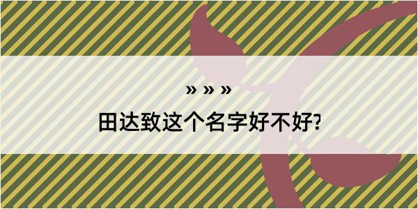 田达致这个名字好不好?