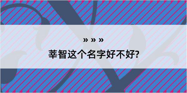 莘智这个名字好不好?