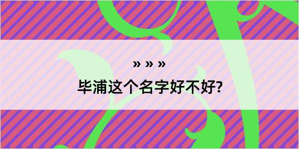 毕浦这个名字好不好?