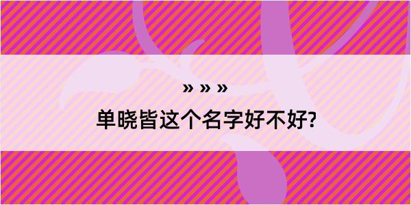 单晓皆这个名字好不好?