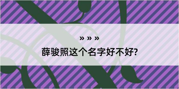 薛骏照这个名字好不好?