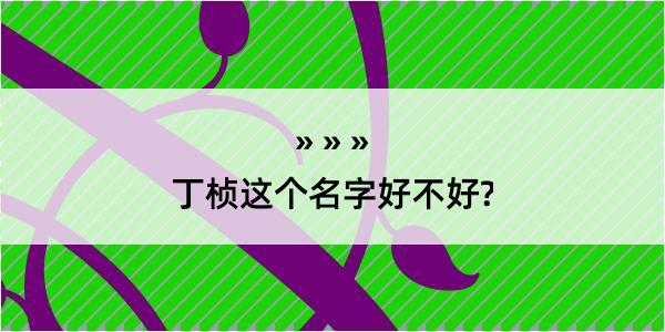 丁桢这个名字好不好?