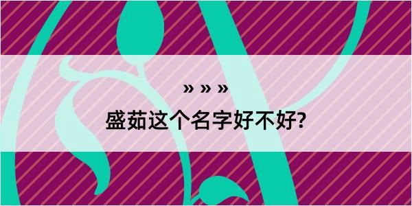 盛茹这个名字好不好?