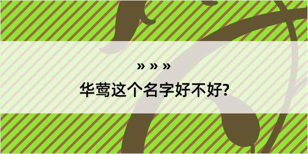 华莺这个名字好不好?