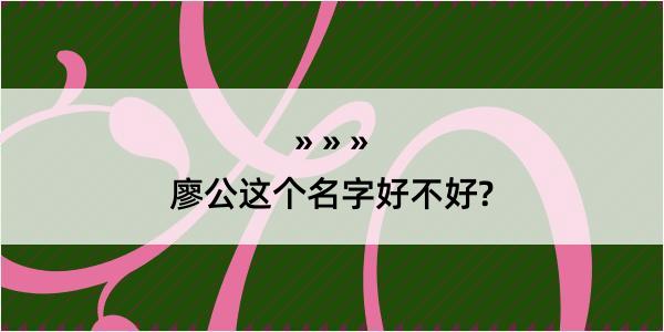 廖公这个名字好不好?