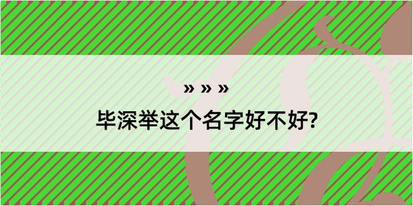 毕深举这个名字好不好?