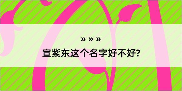 宣紫东这个名字好不好?