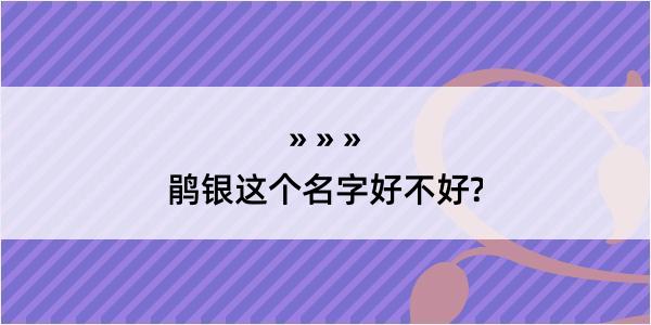 鹃银这个名字好不好?