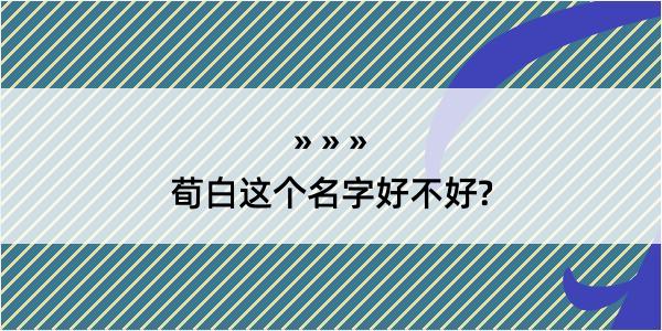 荀白这个名字好不好?