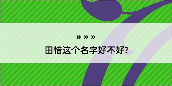 田愔这个名字好不好?