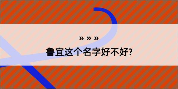 鲁宜这个名字好不好?