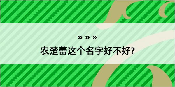 农楚蕾这个名字好不好?