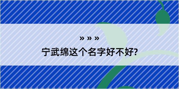 宁武绵这个名字好不好?