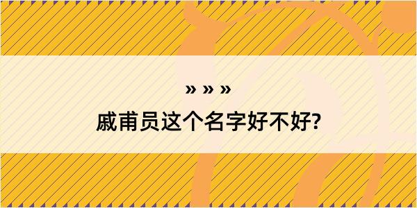 戚甫员这个名字好不好?