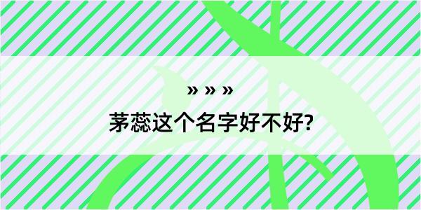 茅蕊这个名字好不好?