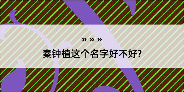 秦钟植这个名字好不好?